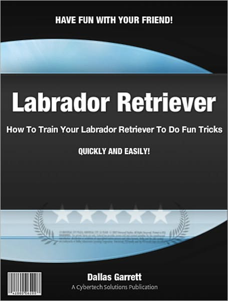 How To Train Your Labrador Retriever To Do Fun Tricks