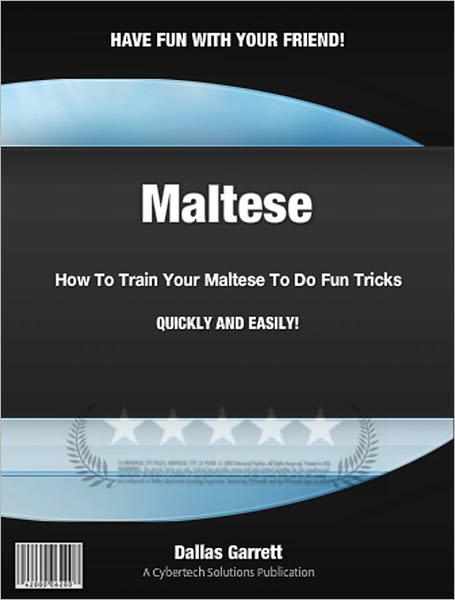 How To Train Your Maltese To Do Fun Tricks
