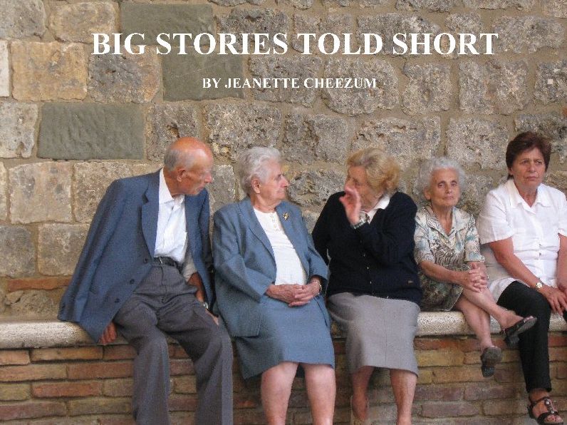 Big Stories Told Short