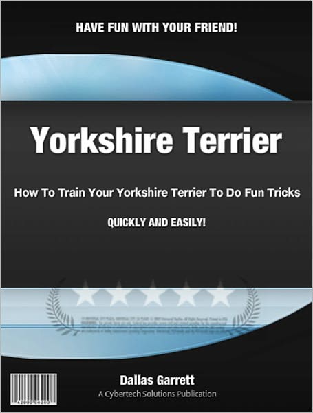How To Train Your Yorkshire Terrier To Do Fun Tricks