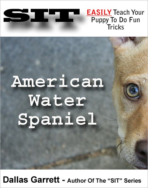 How To Train Your American Water Spaniel To Do Fun Tricks