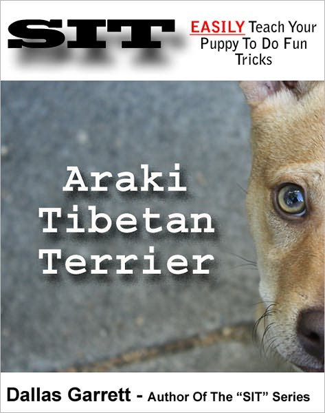 How To Train Your Araki Tibetan Terrier To Do Fun Tricks