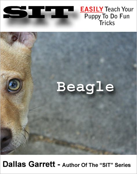 How To Train Your Beagle To Do Fun Tricks