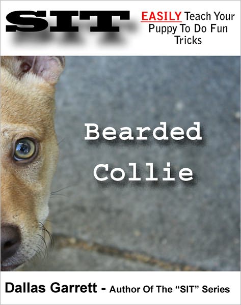 How To Train Your Bearded Collie To Do Fun Tricks