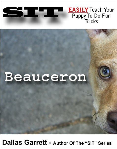 How To Train Your Beauceron To Do Fun Tricks