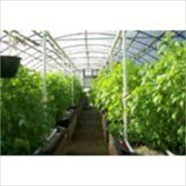 All About Greenhouse Growing!