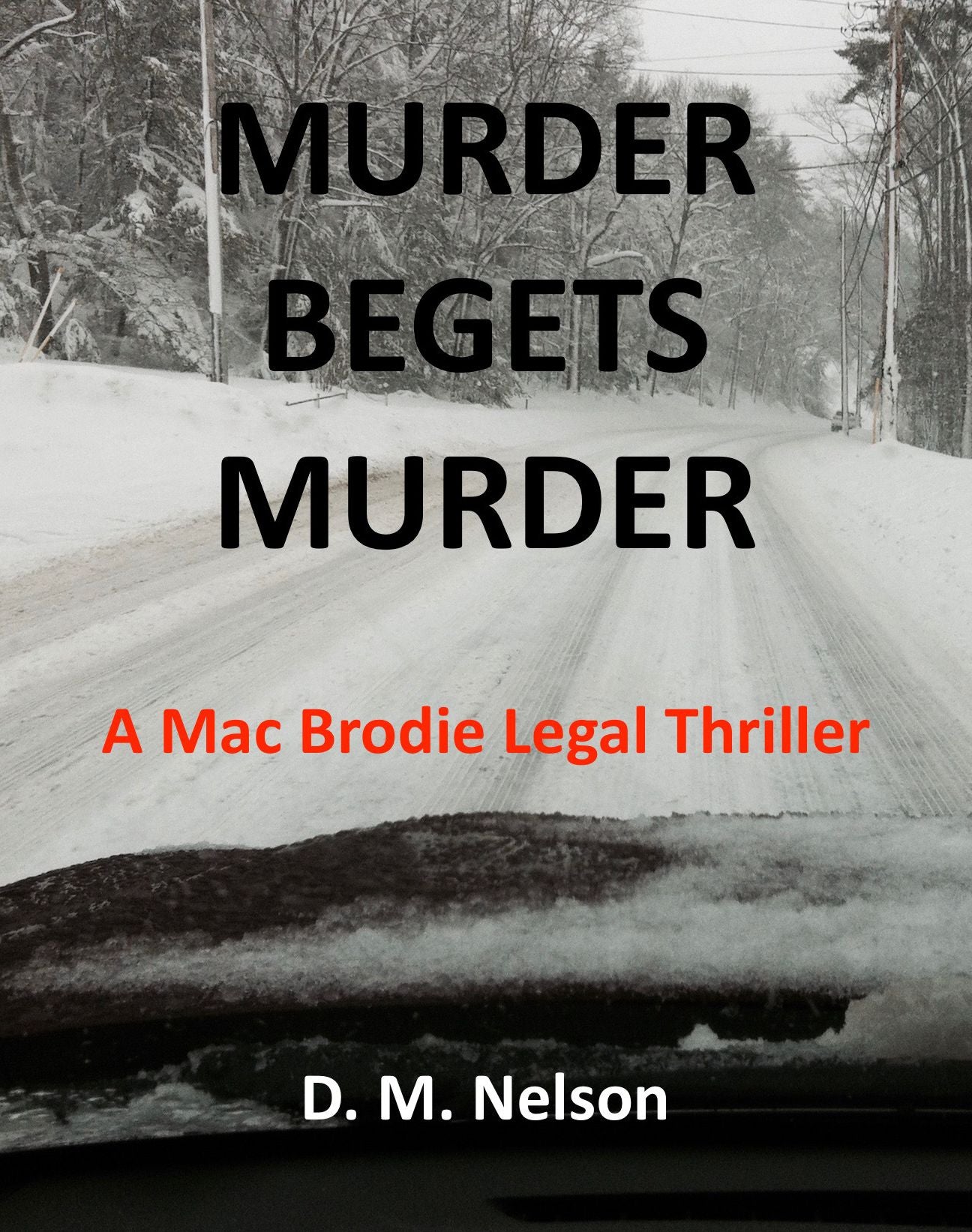 Murder Begets Murder A Mac Brodie Legal Thriller