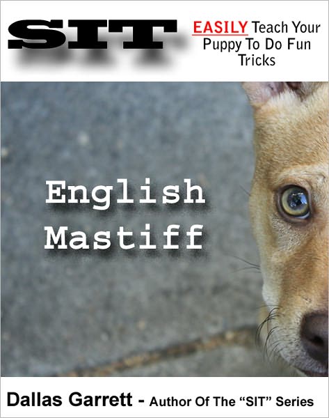 How To Train Your English Mastiff To Do Fun Tricks