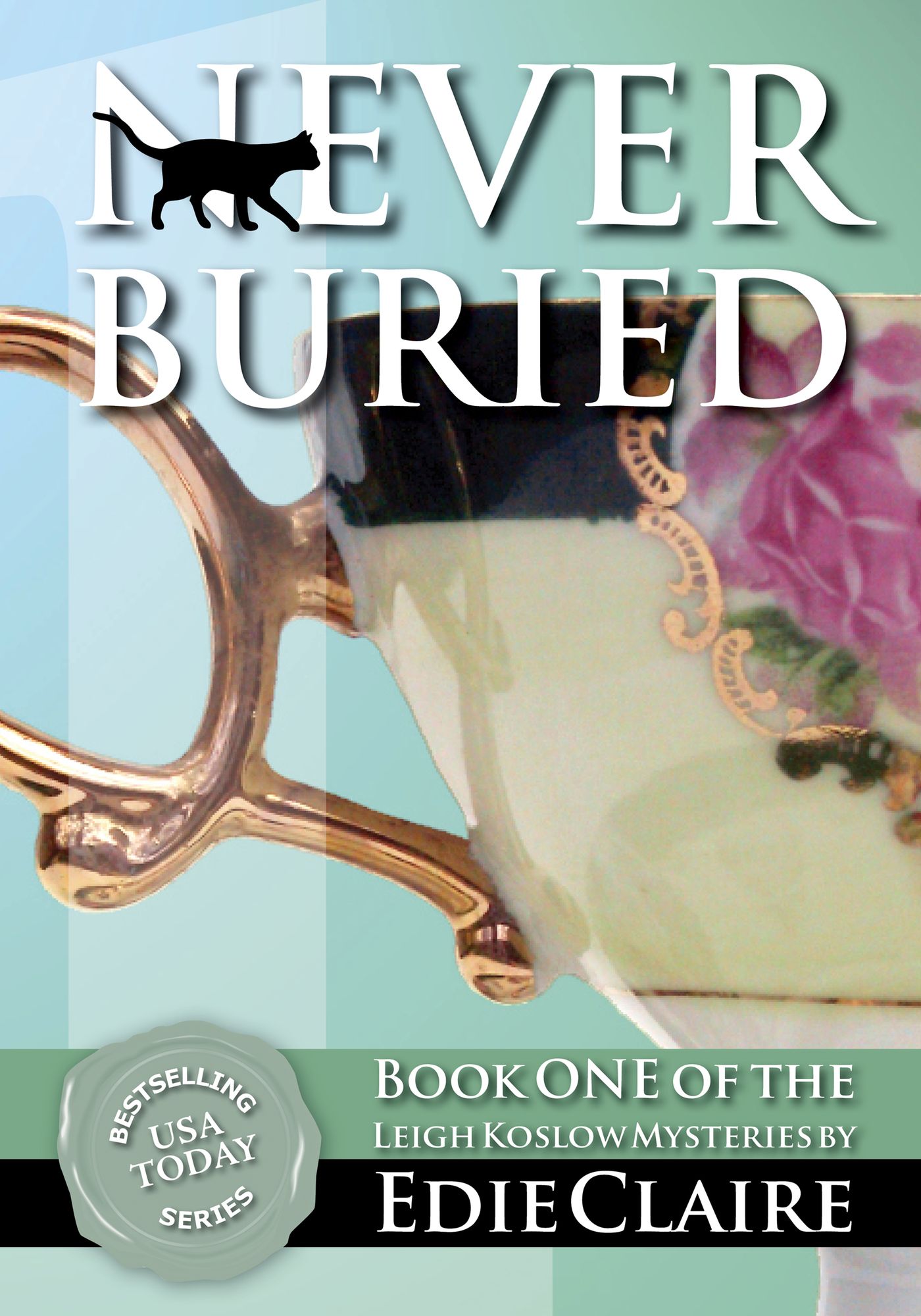Never Buried (Leigh Koslow Mystery Series #1)