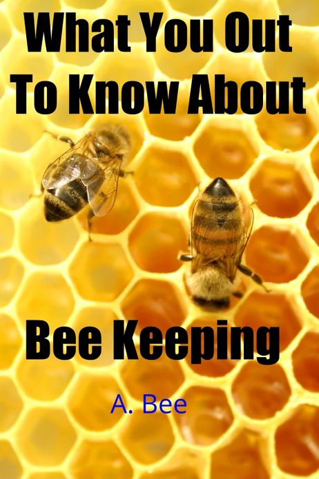 What You Ought To Know About Bee Keeping