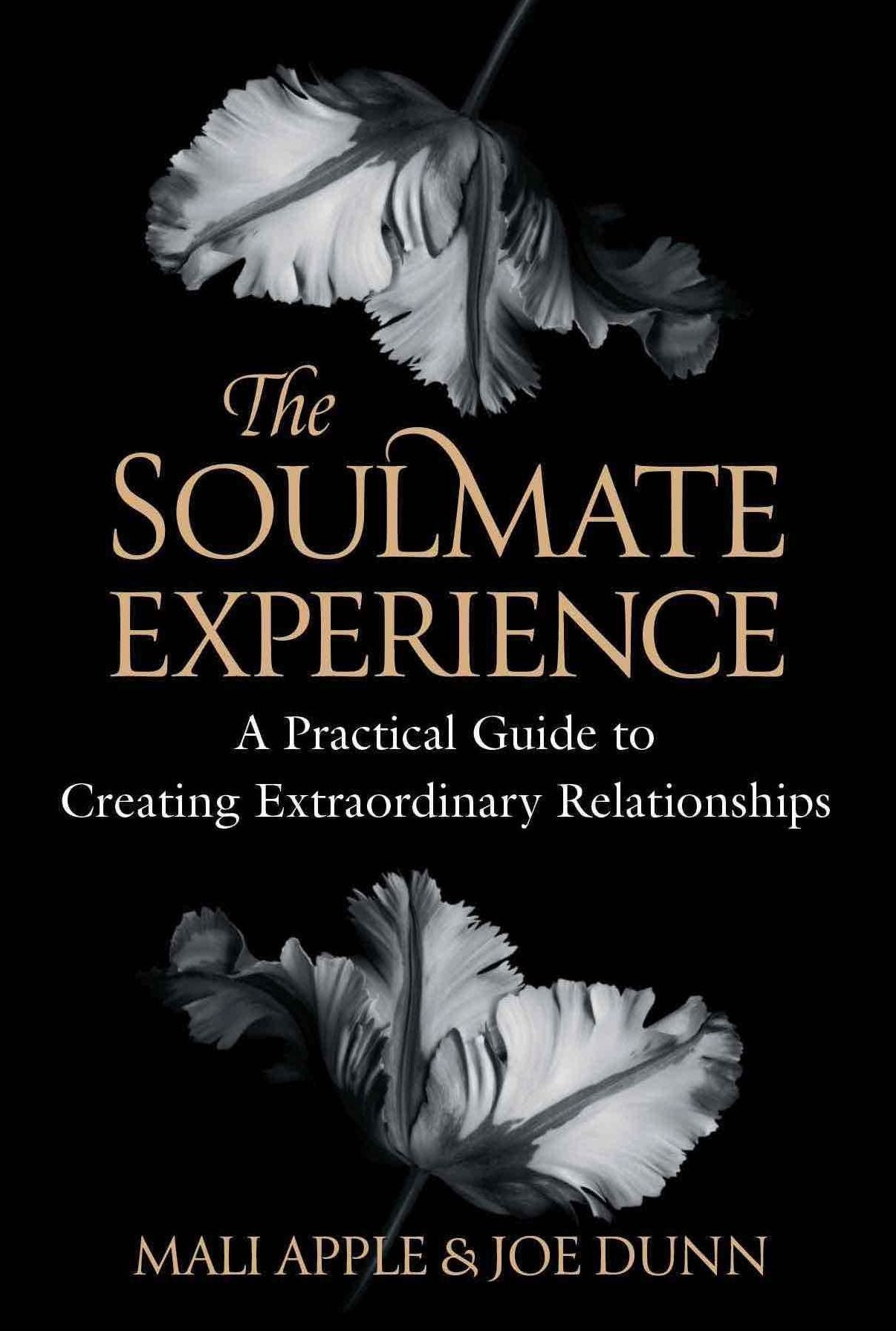 The Soulmate Experience: A Practical Guide for Creating Extraordinary Relationships