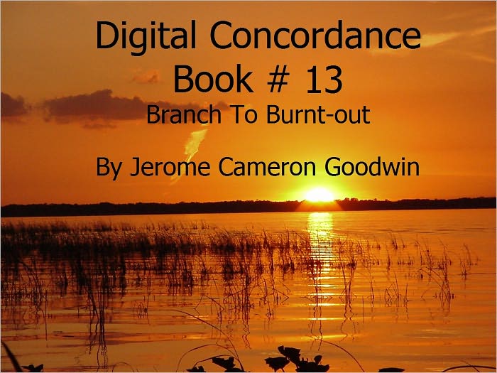 Branch To Burnt-out - Digital Concordance Book 13