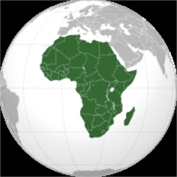 An African Millionaire