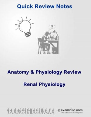 Physiology Quick Review: Renal Physiology