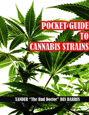 Pocket Guide to Cannabis Strains