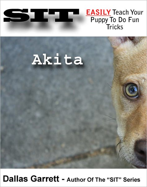 How To Train Your Akita To Do Fun Tricks