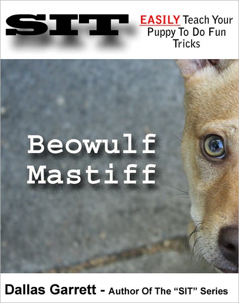 How To Train Your Beowulf Mastiff To Do Fun Tricks