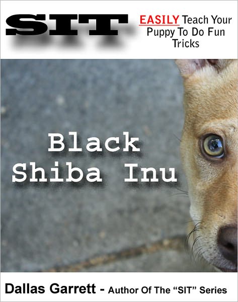 How To Train Your Black Shiba Inu To Do Fun Tricks