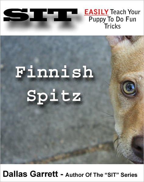 How To Train Your Finnish Spitz To Do Fun Tricks