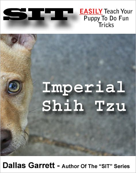 How To Train Your Imperial Shih Tzu To Do Fun Tricks