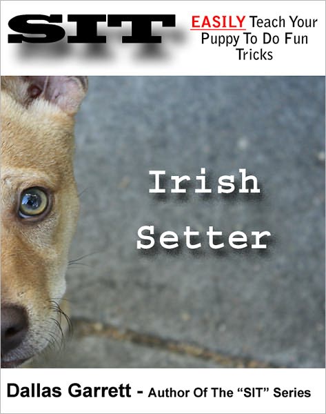 How To Train Your Irish Setter To Do Fun Tricks