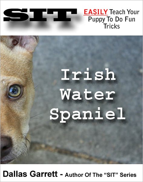 How To Train Your Irish Water Spaniel To Do Fun Tricks