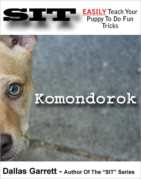 How To Train Your Komondorok To Do Fun Tricks