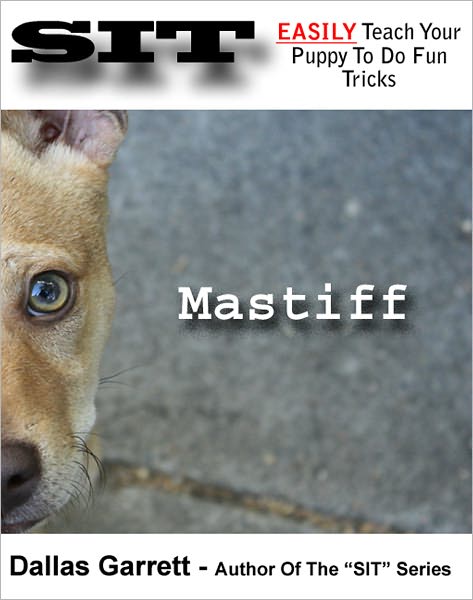 How To Train Your Mastiff To Do Fun Tricks