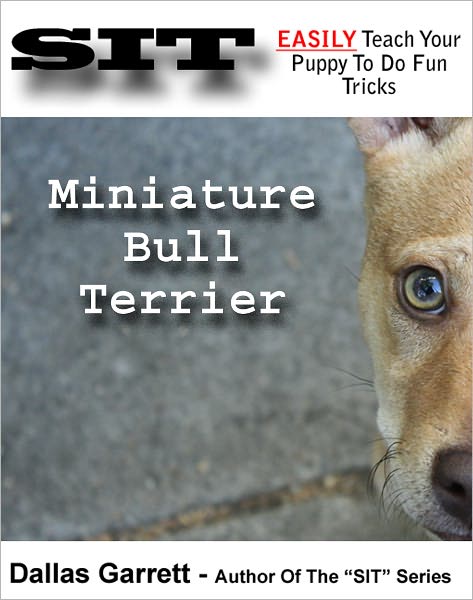 How To Train Your Miniature Bull Terrier To Do Fun Tricks