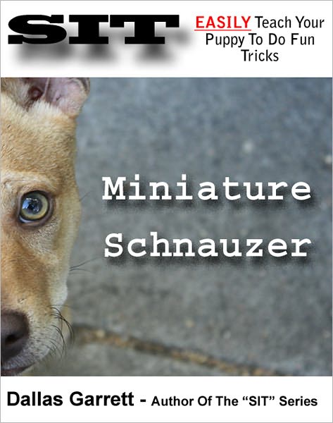 How To Train Your Miniature Schnauzer To Do Fun Tricks