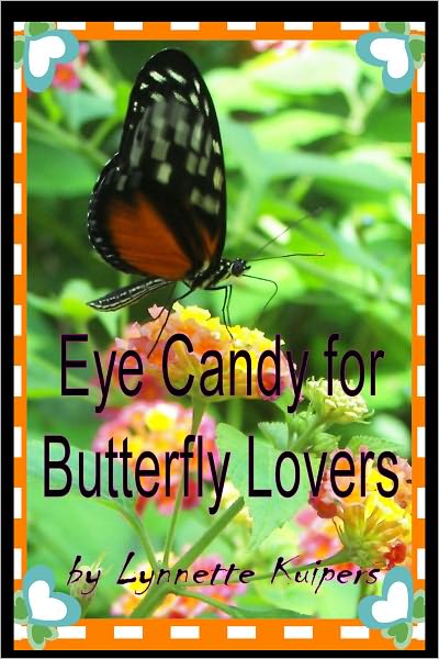 Eye Candy for Butterfly Lovers