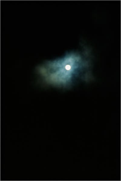 Young Adult Book 6: Return to Sephar (#6)