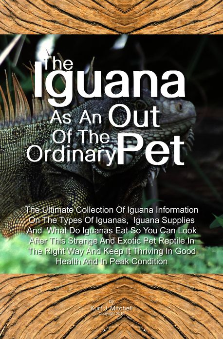 The Iguana As An Out Of The Ordinary Pet: The Ultimate Collection Of Iguana Information On The Types Of Iguanas, Iguana Supplies And What Do Iguanas Eat So You Can Look After This Strange And Exotic Pet Reptile In The Right Way And Keep It Thriving In G