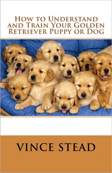 How to Understand and Train Your Golden Retriever Puppy or Dog