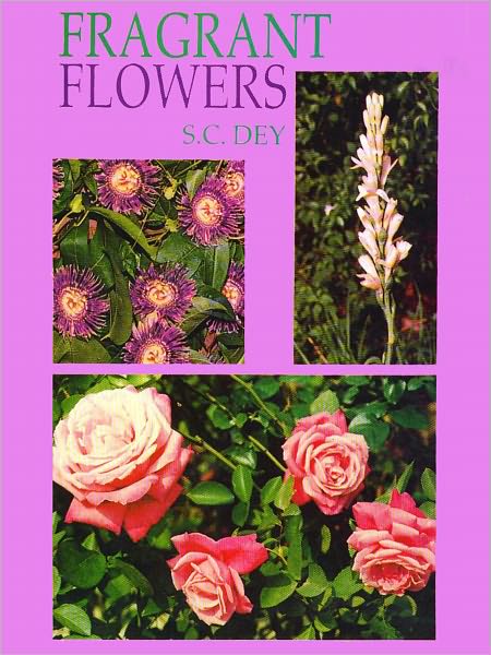 Fragrant Flowers For Homes And Gardens Trade And Industry