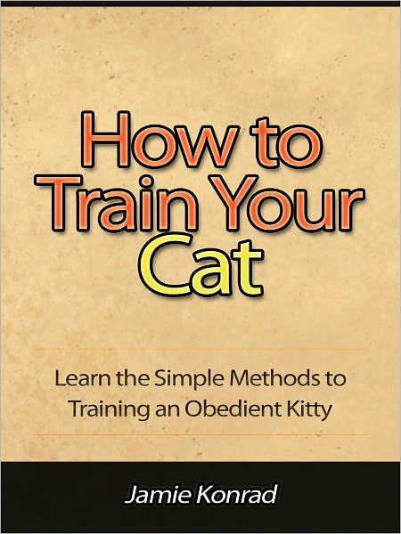 How to Train Your Cat - Learn the Simple Methods to Training an Obedient Kitty