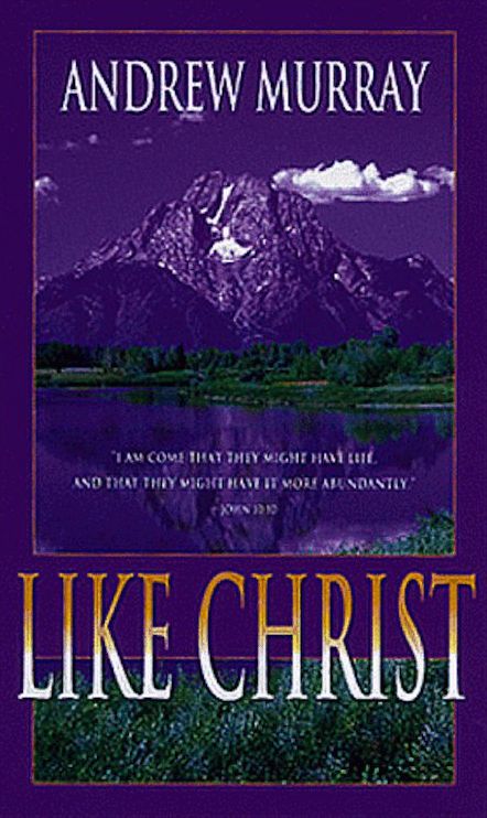 Like Christ: Thoughts on the Blessed Life of Conformity to the Son of God