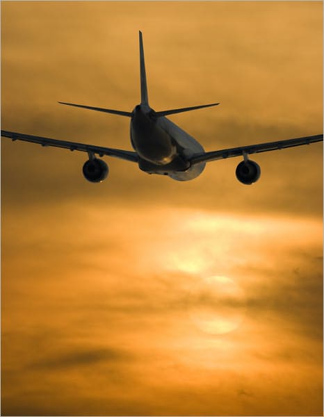 Flight Into Terror