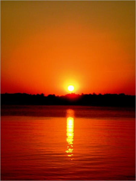 Romance Novel: ROOM (BOOK 4)