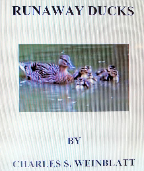 Runaway Ducks