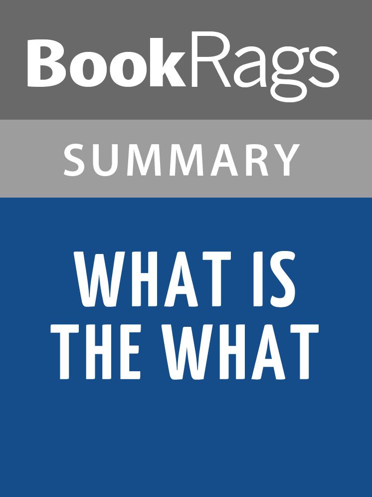 What Is the What by Dave Eggers Summary & Study Guide