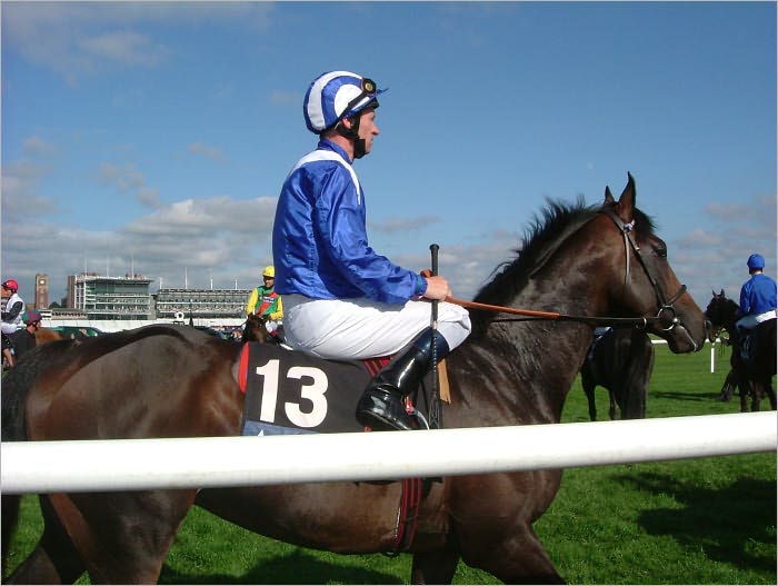 Horse Racing: You Bet!!