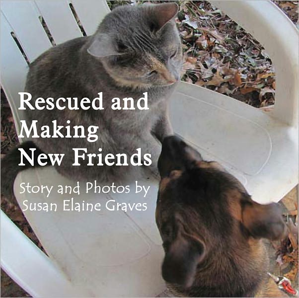 Rescued and Making New Friends