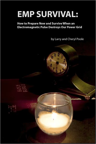 EMP Survival: :How to Prepare Now and Survive, When an Electromagnetic Pulse Destroys Our Power