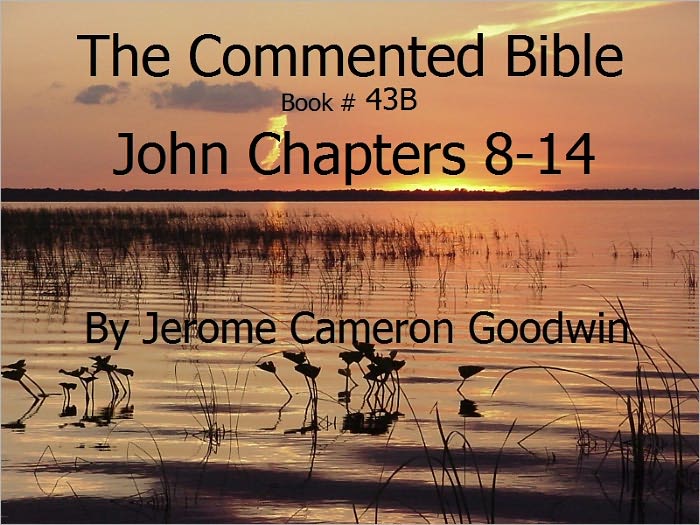 A Commented Study Bible With Cross-References - Book 43B - John