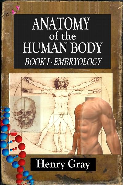 Anatomy of the Human Body - Book 1 Embryology