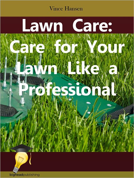 Lawn Care: Care for Your Lawn Like a Professional