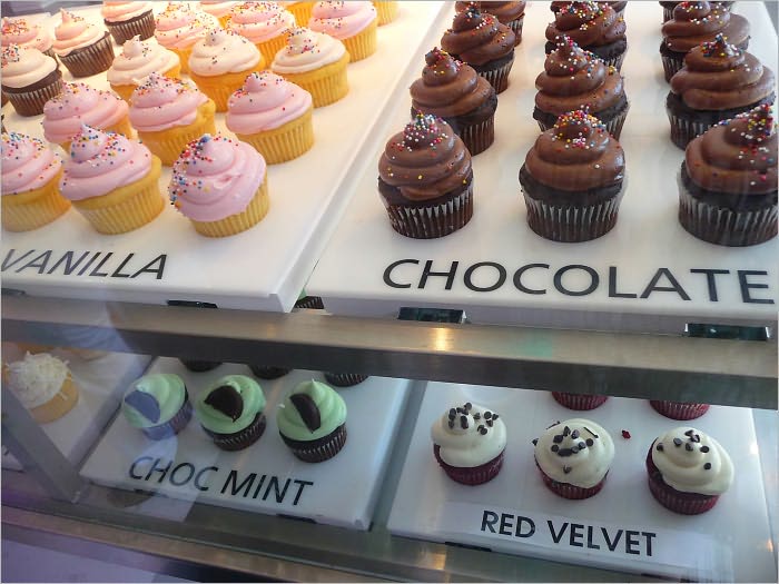 Gourmet Cupcake Baker Shop Start Up Sample Business Plan!
