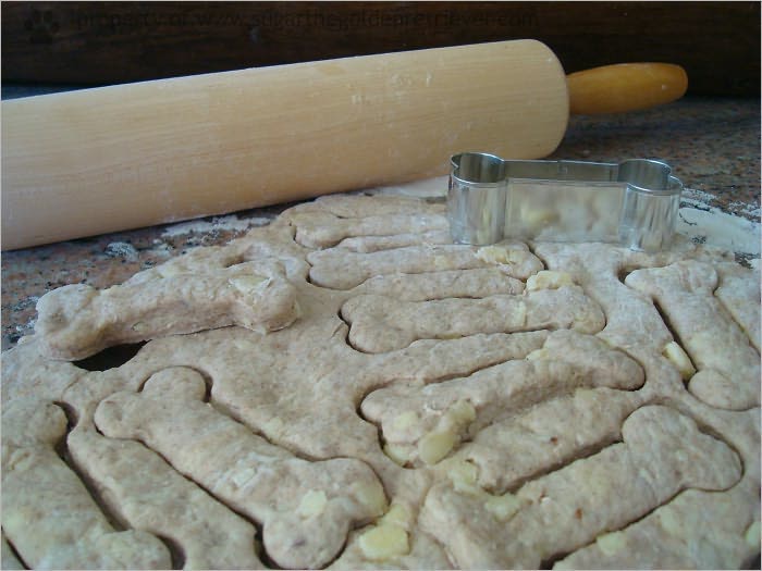 Dog Treat Bakery Start Up Sample Business Plan!