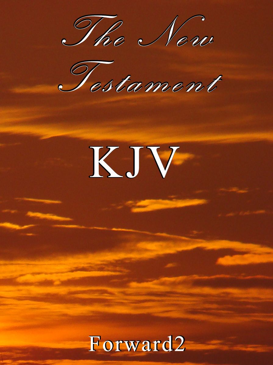 Bible - The New Testament: King James Version KJV (with book, chapter and verse navigation)